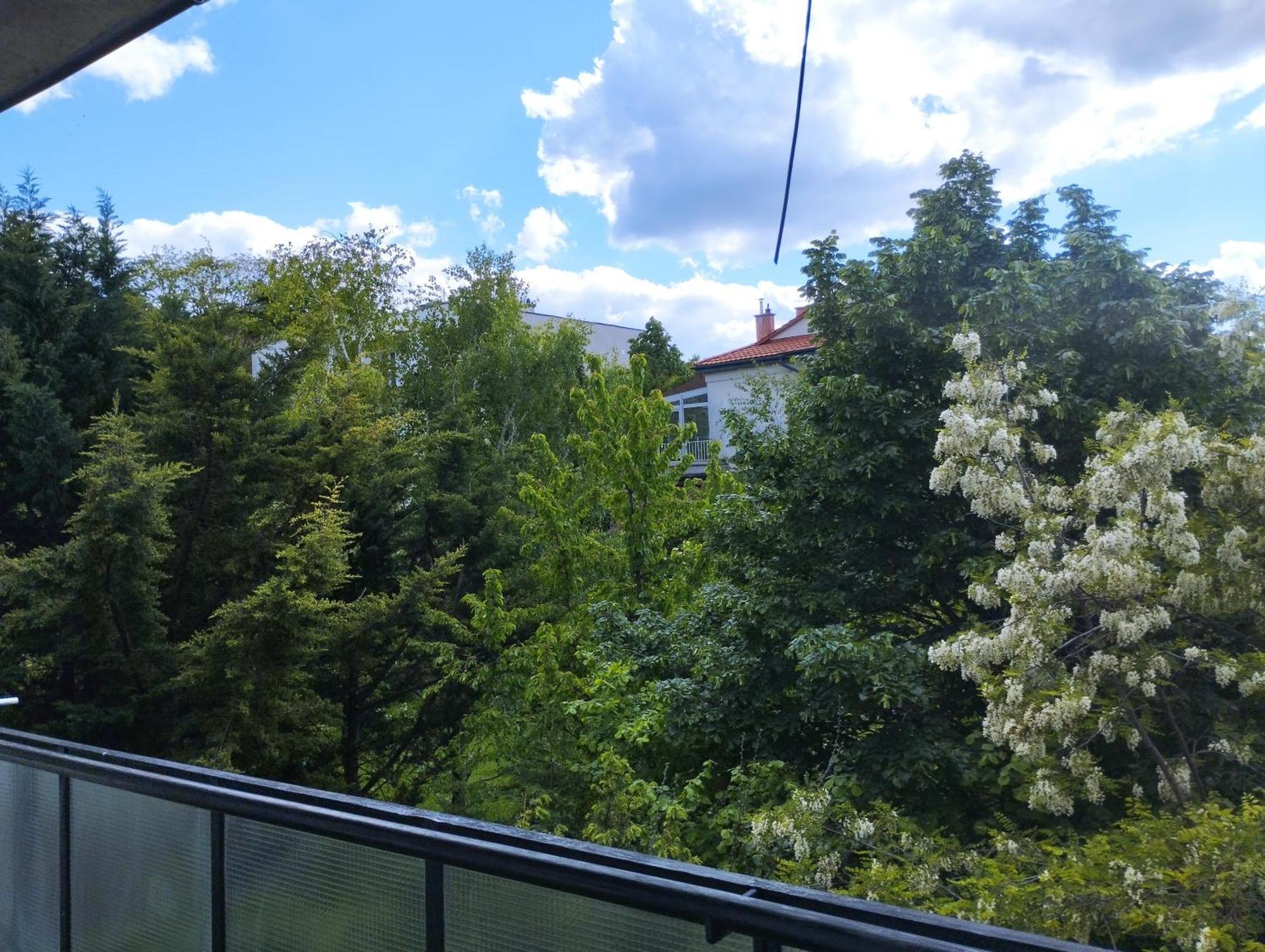 Greenview Apartment Budapeşte Dış mekan fotoğraf
