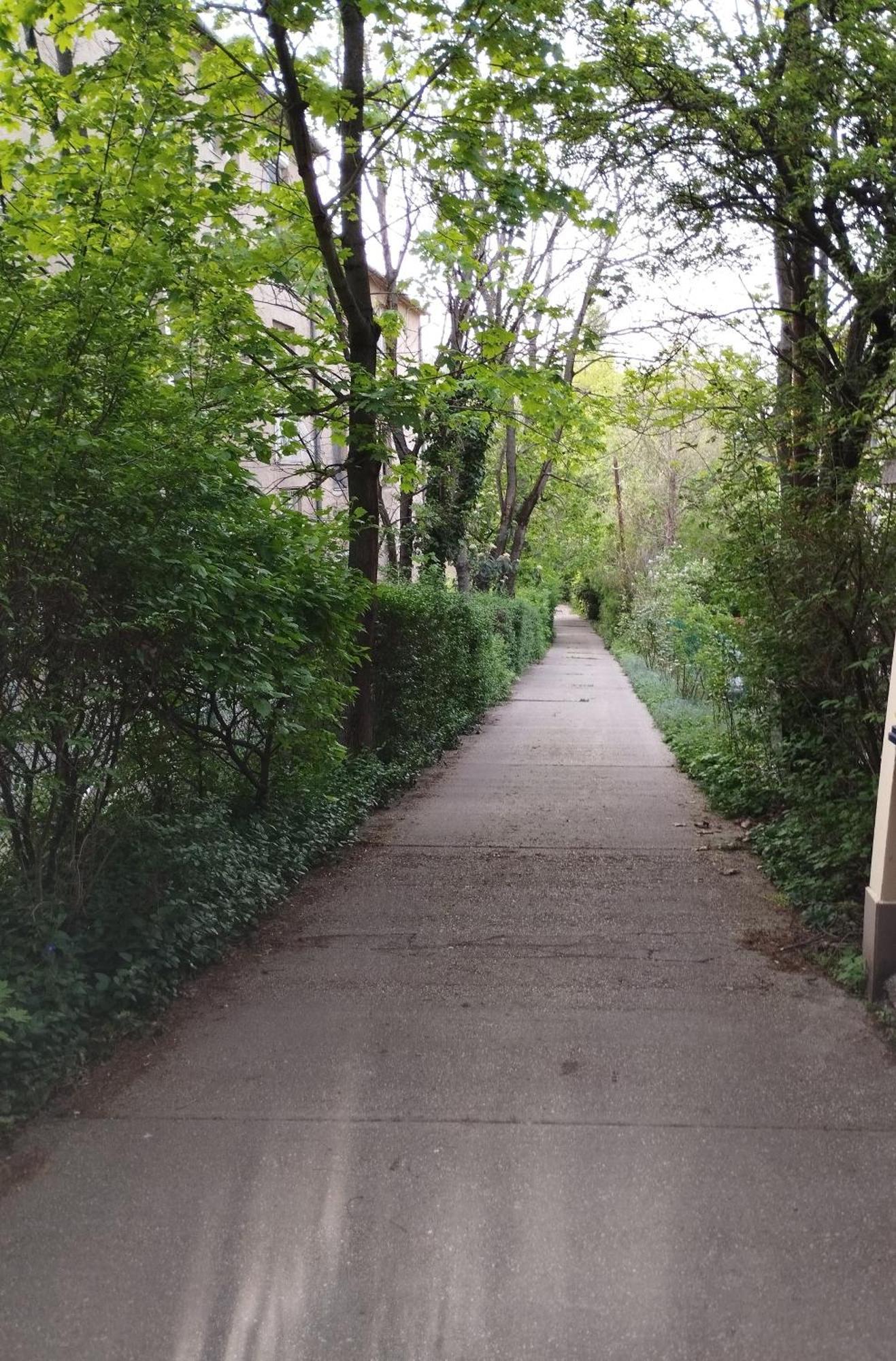 Greenview Apartment Budapeşte Dış mekan fotoğraf